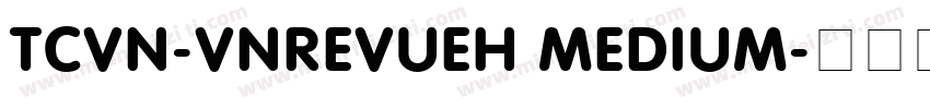 TCVN-VnRevueH Medium字体转换